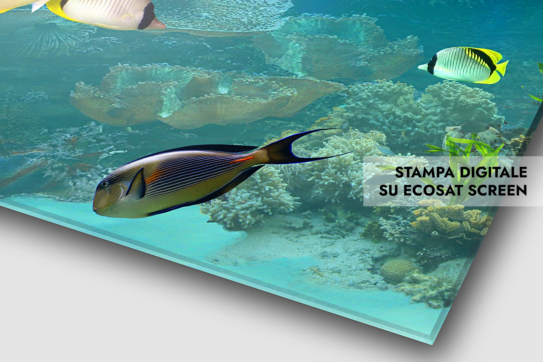 Stampa digitale su Ecosat Screen