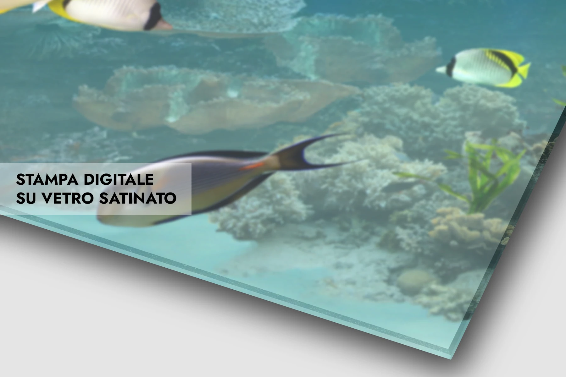 Stampa digitale su vetro satinato Stampa digitale su vetro satinato